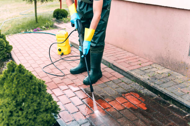 Best Solar Panel Cleaning  in Ganado, TX